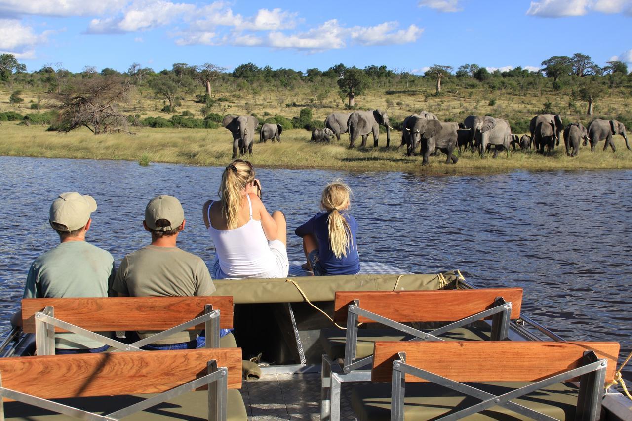 Chobe River Camp Ngoma Kültér fotó