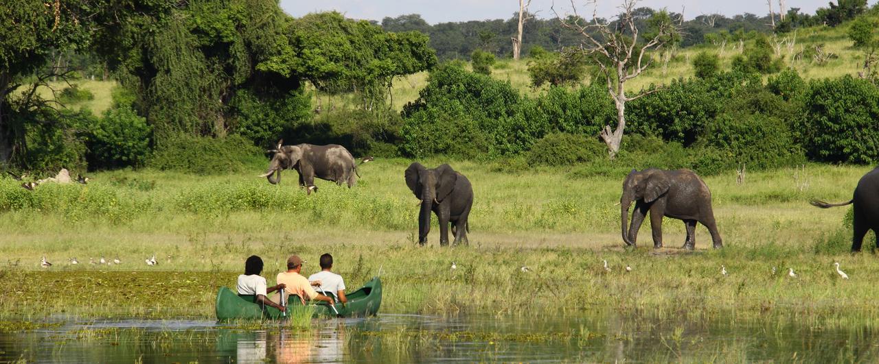 Chobe River Camp Ngoma Kültér fotó